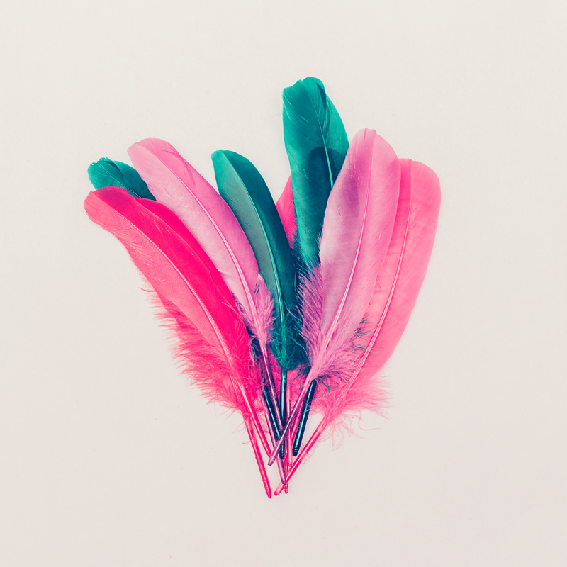 shutterstock_314933909.jpg