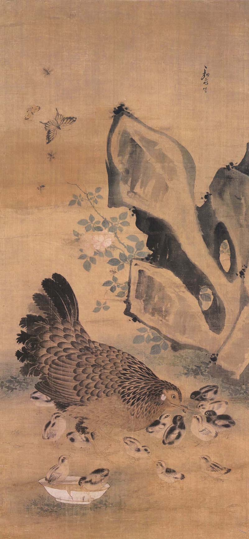 _ڵ(ͮ).jpg