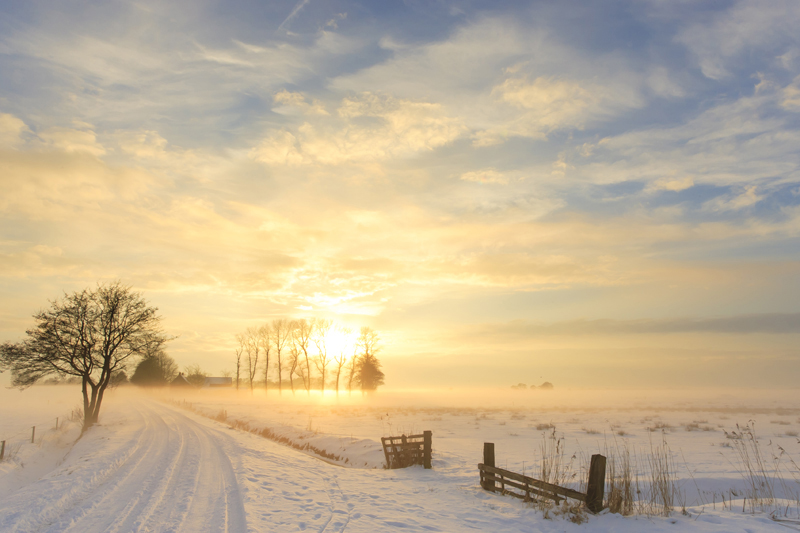 shutterstock_59893324.jpg