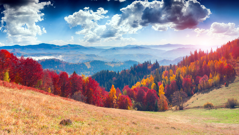 shutterstock_218601670.jpg