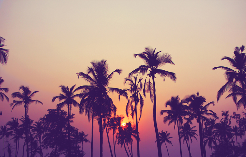 shutterstock_415974139.jpg