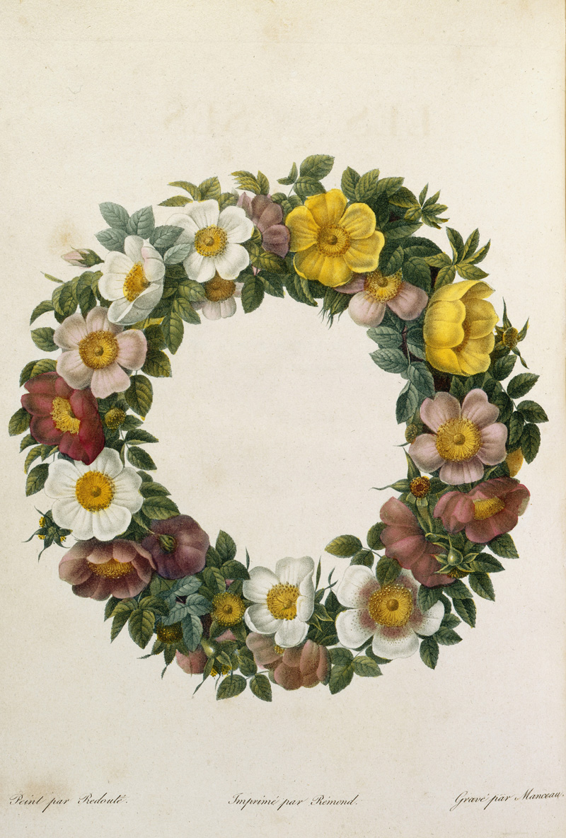 Wreath of wild roses+.jpg