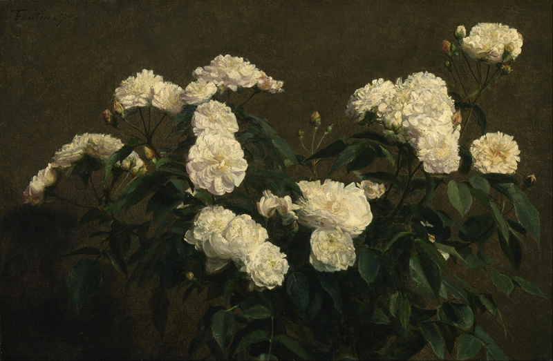 Henri Fantin Latour - White Roses2.jpg