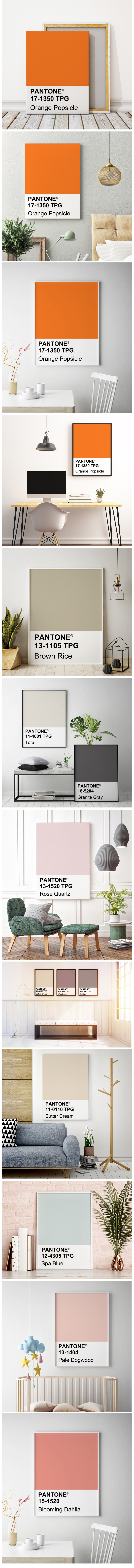 2_Orange Popsicle .jpg