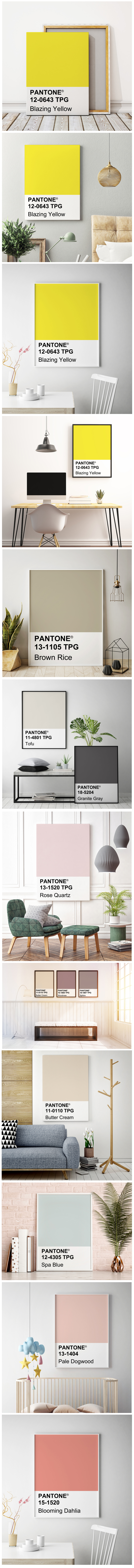 3_Blazing Yellow .jpg