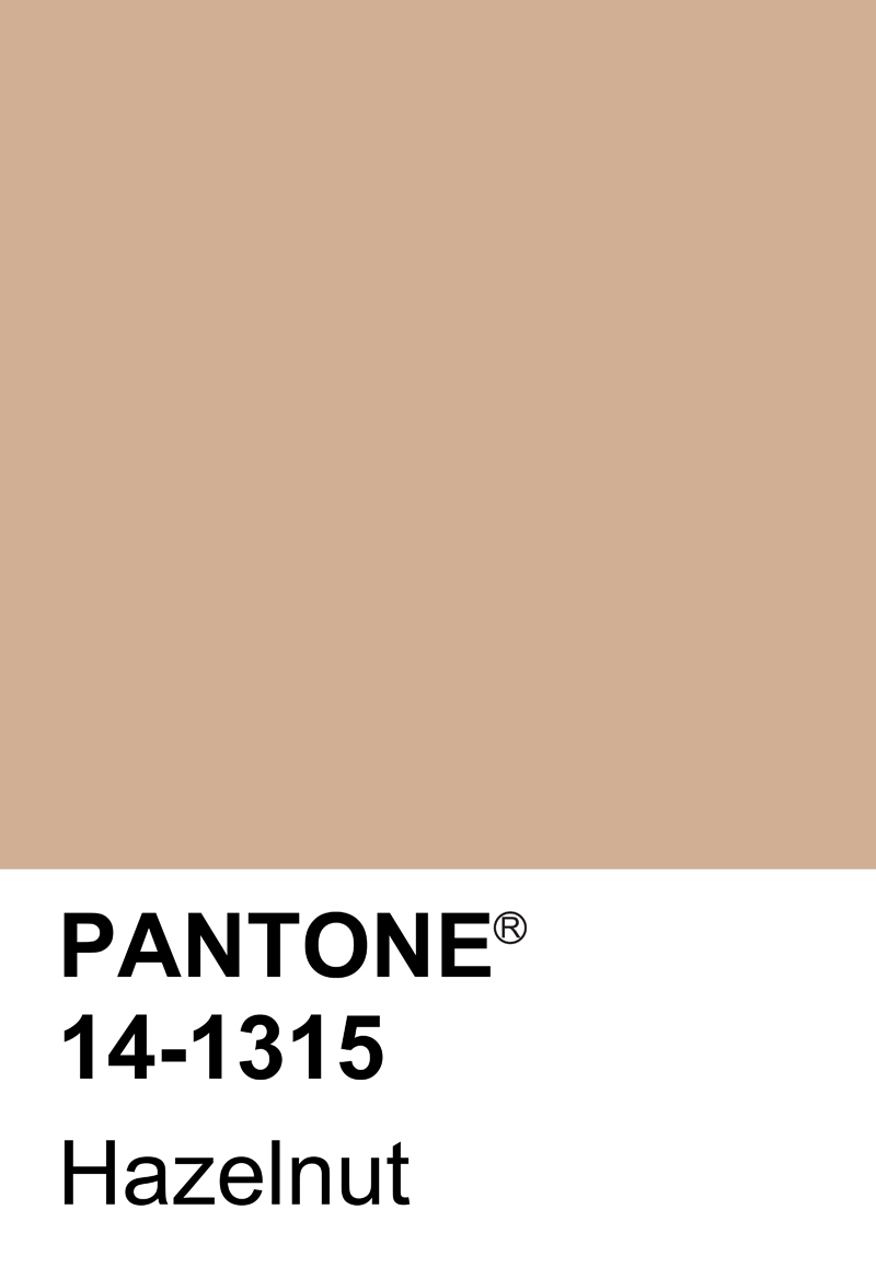 15_Hazelnut.jpg