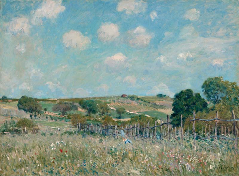 Meadow.jpg