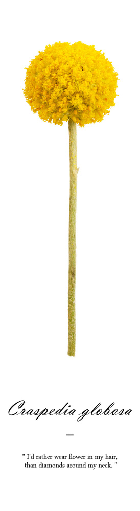 ũ������ �۷κ��� No_1.jpg