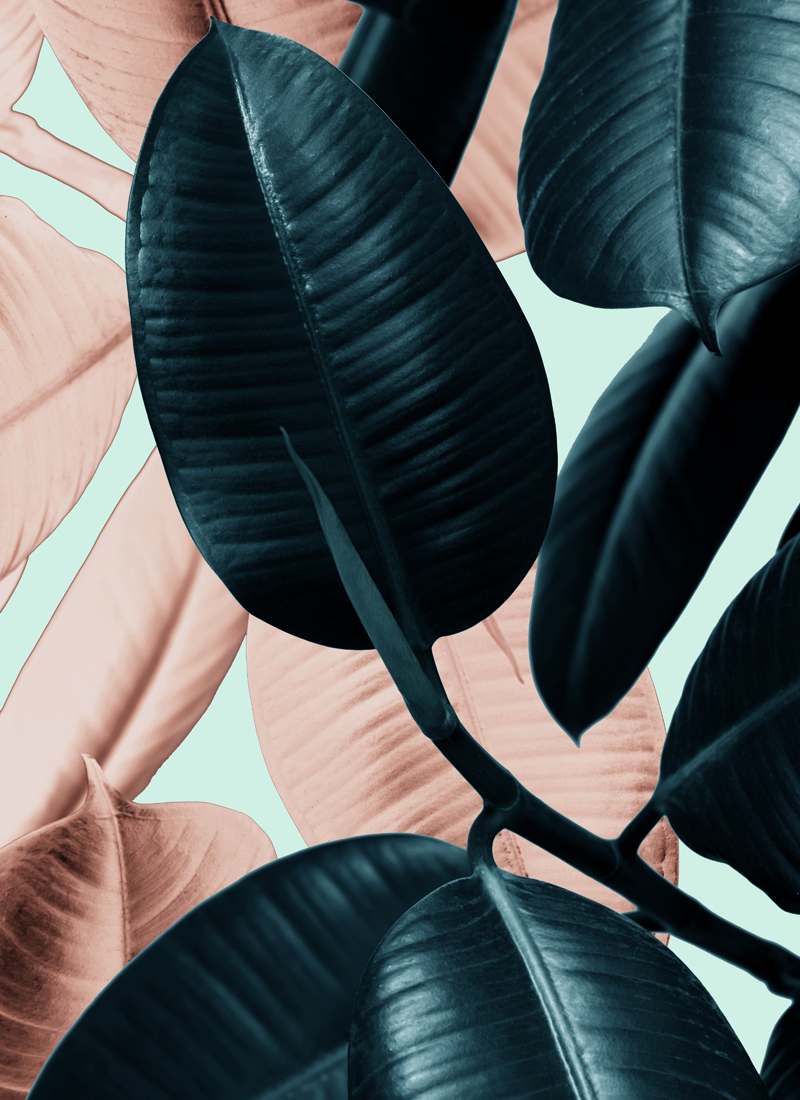 GREEN LEAF No_10.jpg