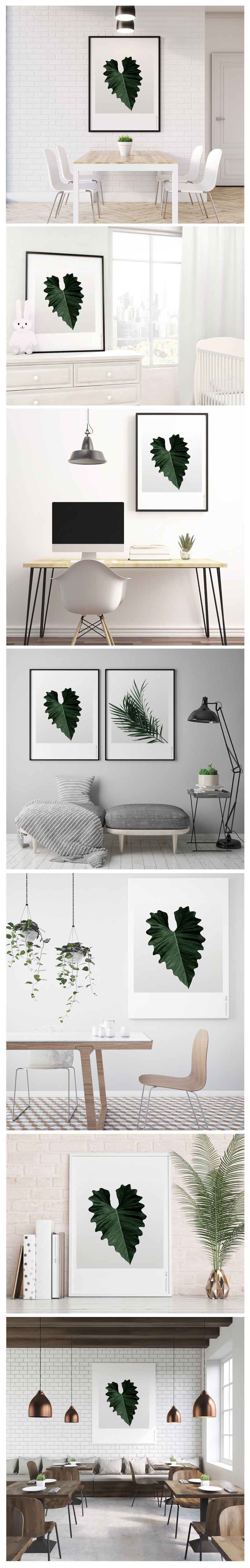 Philodendron No_1  .jpg
