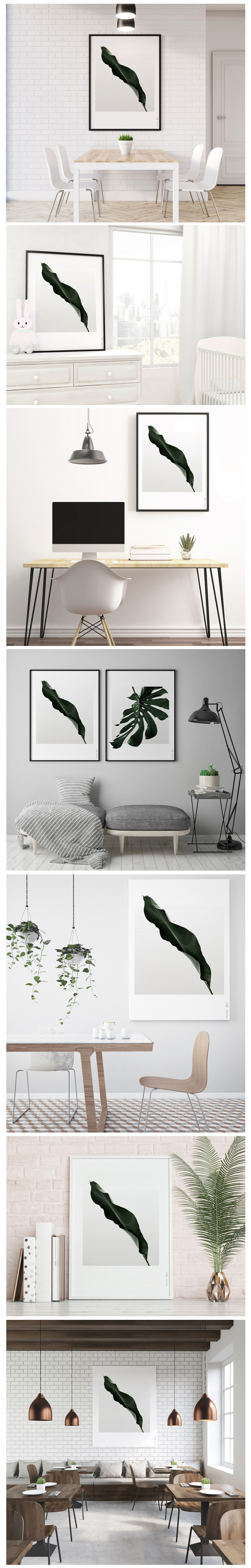 HELICONIA No_1  .jpg