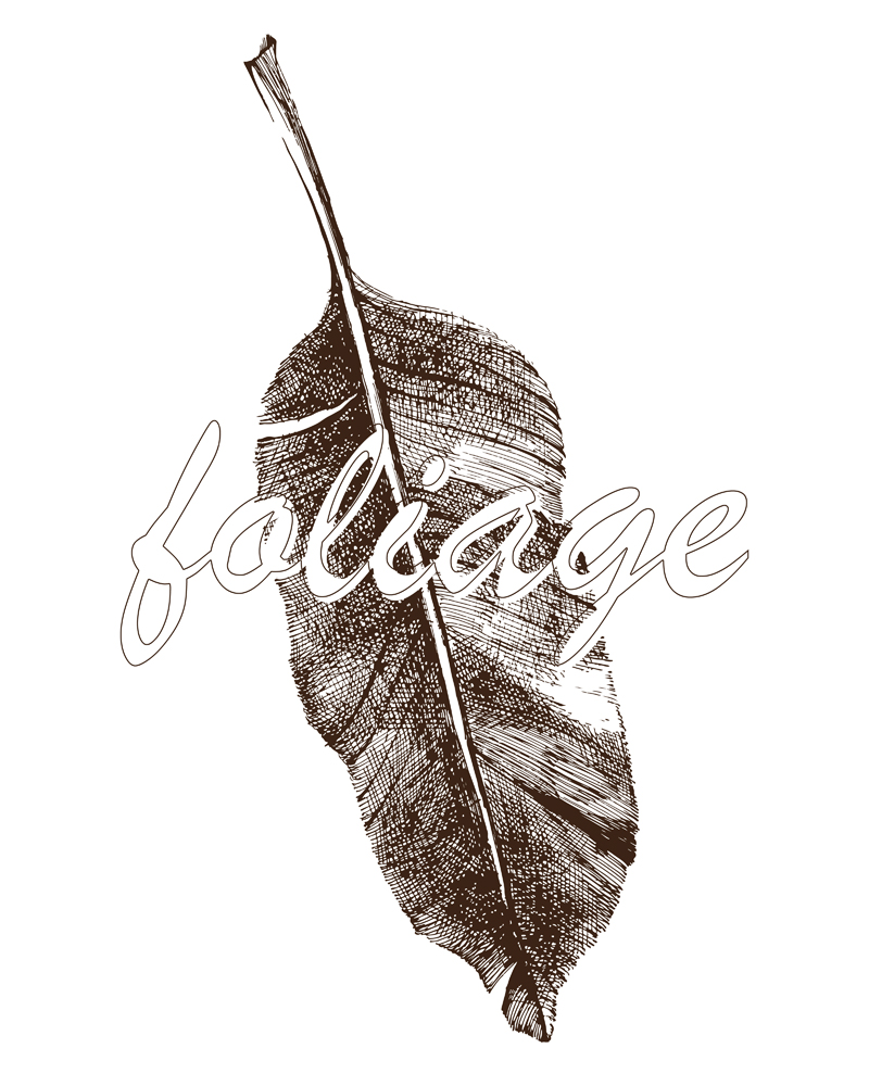 foliage No_1.jpg