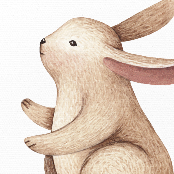 Rabbit No_1.jpg