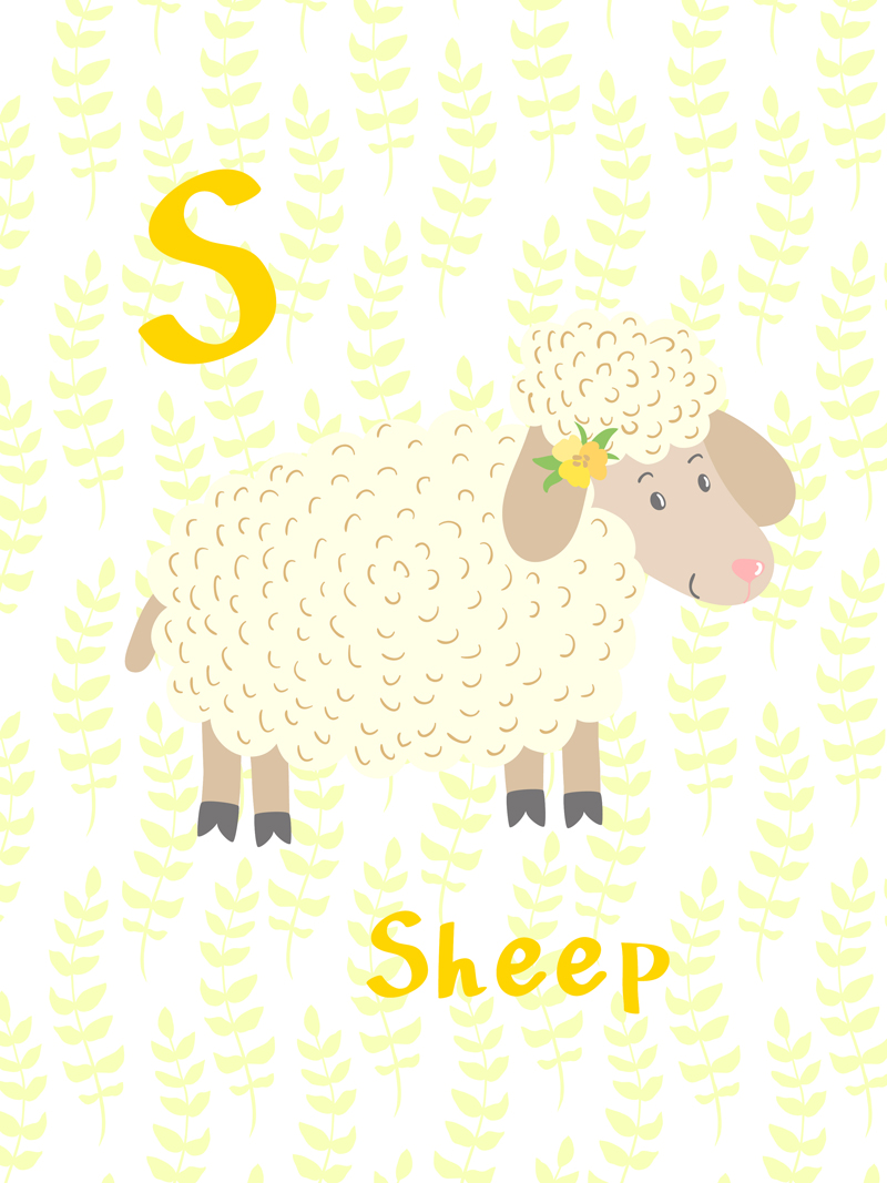 Sheep No_1.jpg