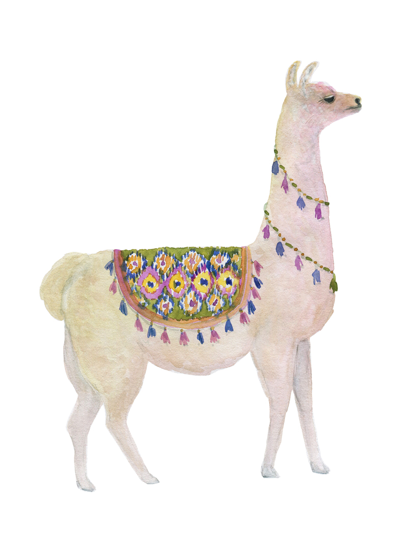 Llama No_1.jpg
