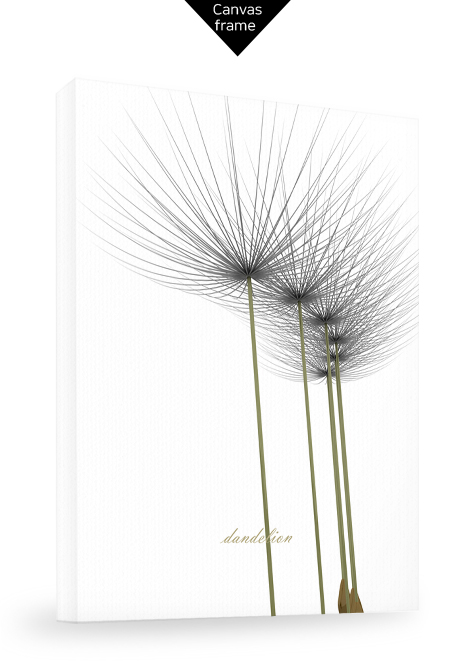 dandelion No_1.jpg