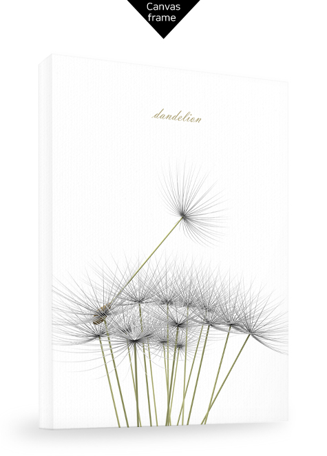 dandelion No_2.jpg