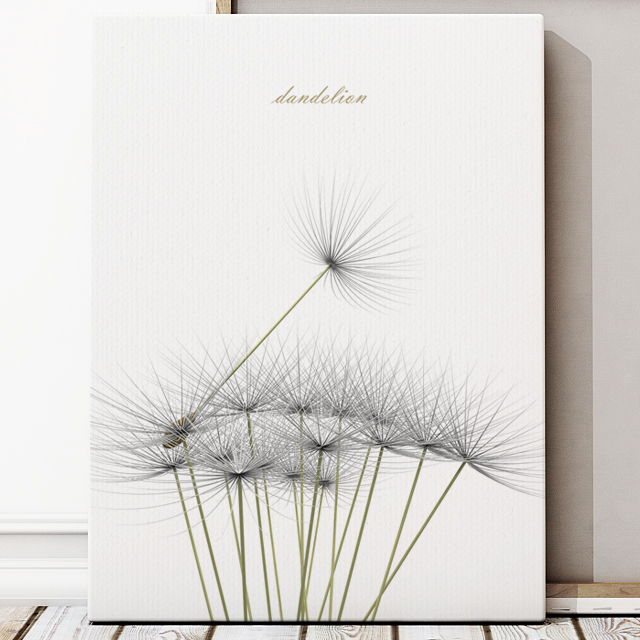 dandelion No_2.jpg