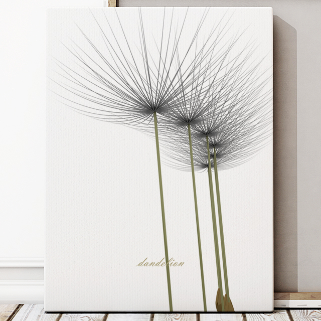 dandelion No_1.jpg