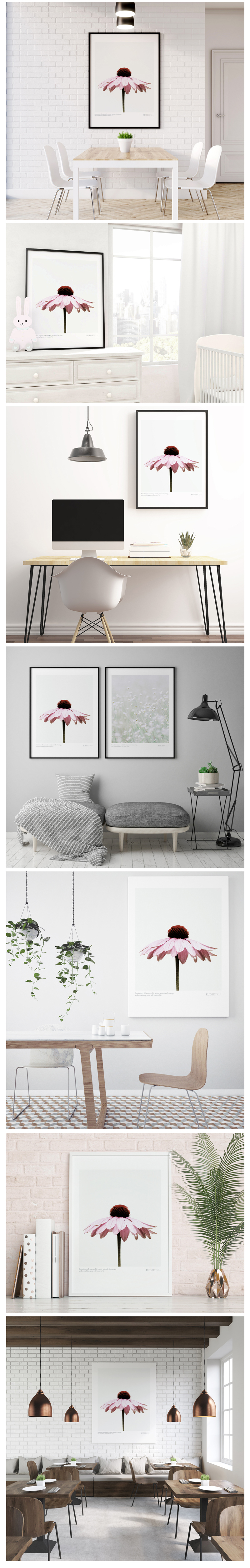 Rudbeckia No_1  .jpg