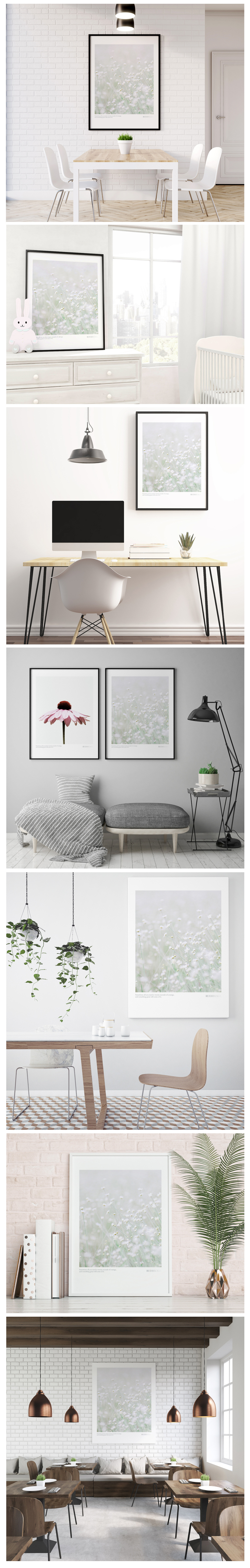 Rudbeckia No_3  .jpg