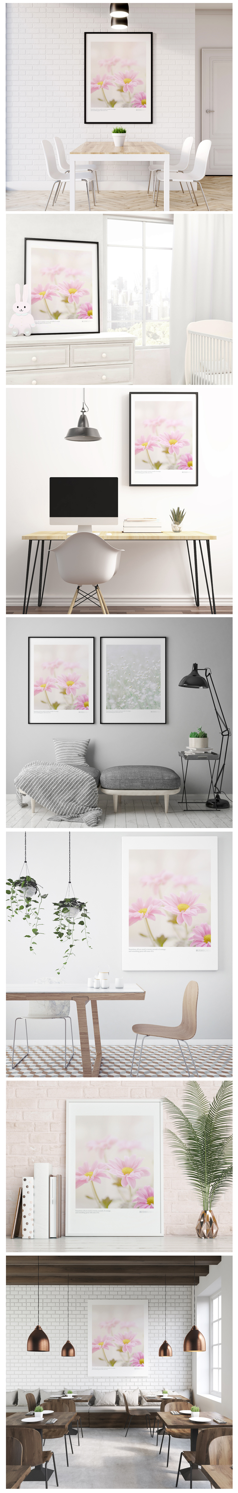 Rudbeckia No_2  .jpg