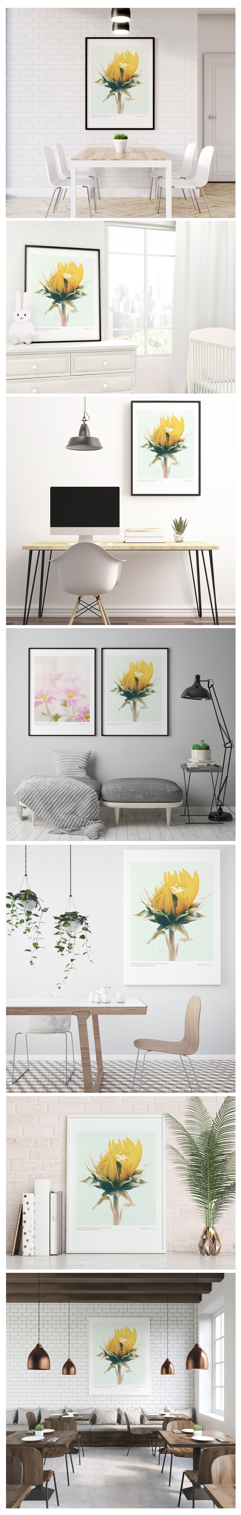 SUNFLOWER No_1  .jpg