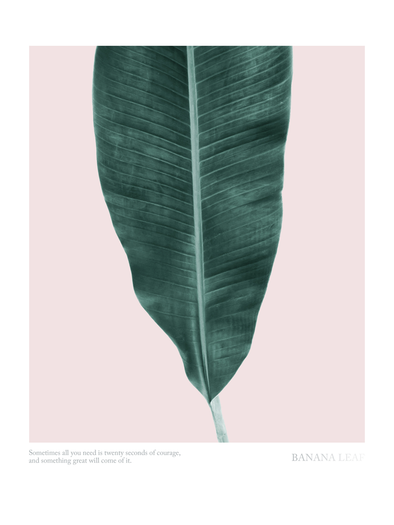 BANANA LEAF No_1.jpg