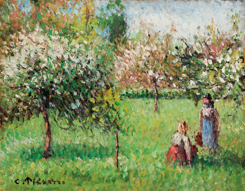Pommiers en fleurs.jpg