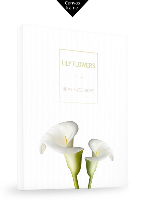Lily flowers No_1.jpg