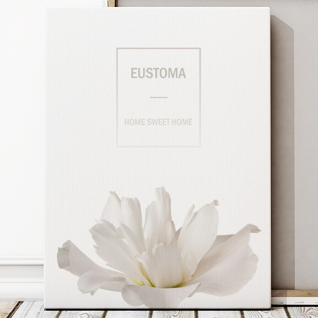 Eustoma No_1.jpg