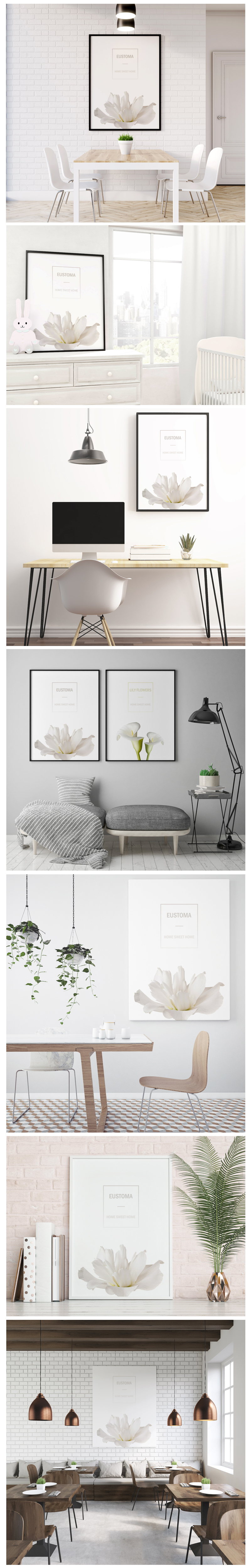 Eustoma No_1  .jpg