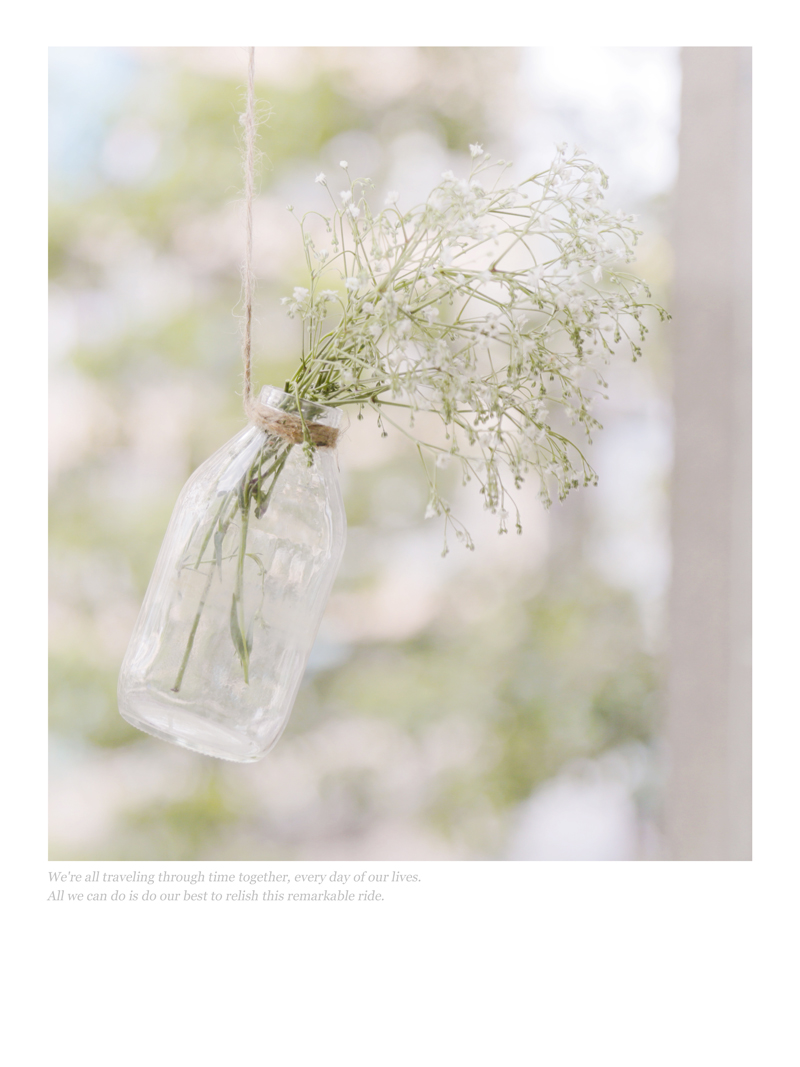 Common Gypsophila No_1.jpg