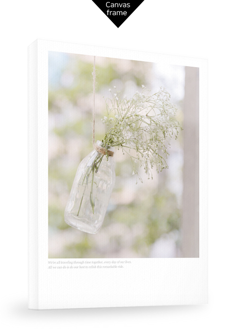 Common Gypsophila No_1.jpg