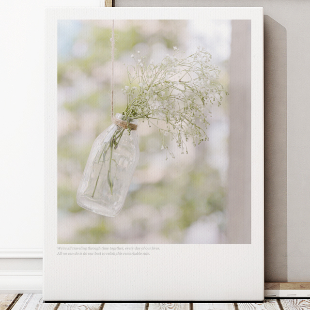 Common Gypsophila No_1.jpg