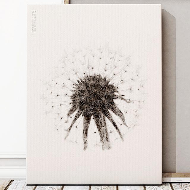 dandelion No_4-2.jpg